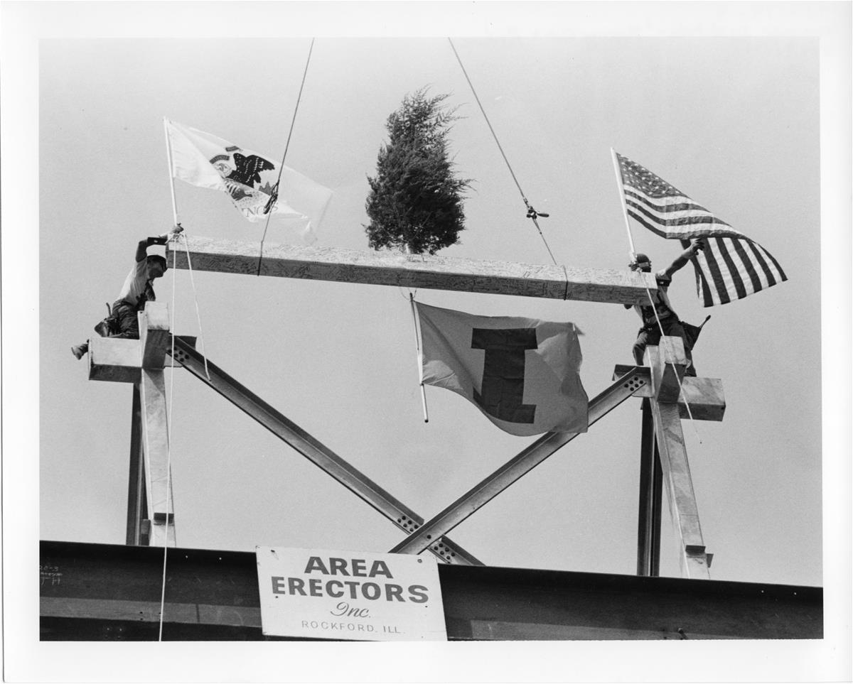 A tree sits at the top of the metal structure of the under-construction Beckman Institute at the University of Illinois at Urbana-Champaign (UIUC) during its topping-out ceremony