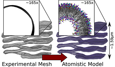 Research image from Noah Trebesch