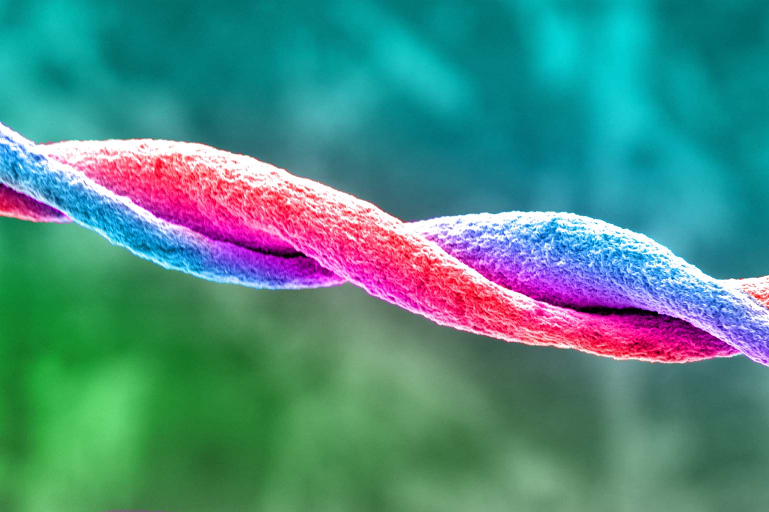 Double Helix SWCNT Fiber