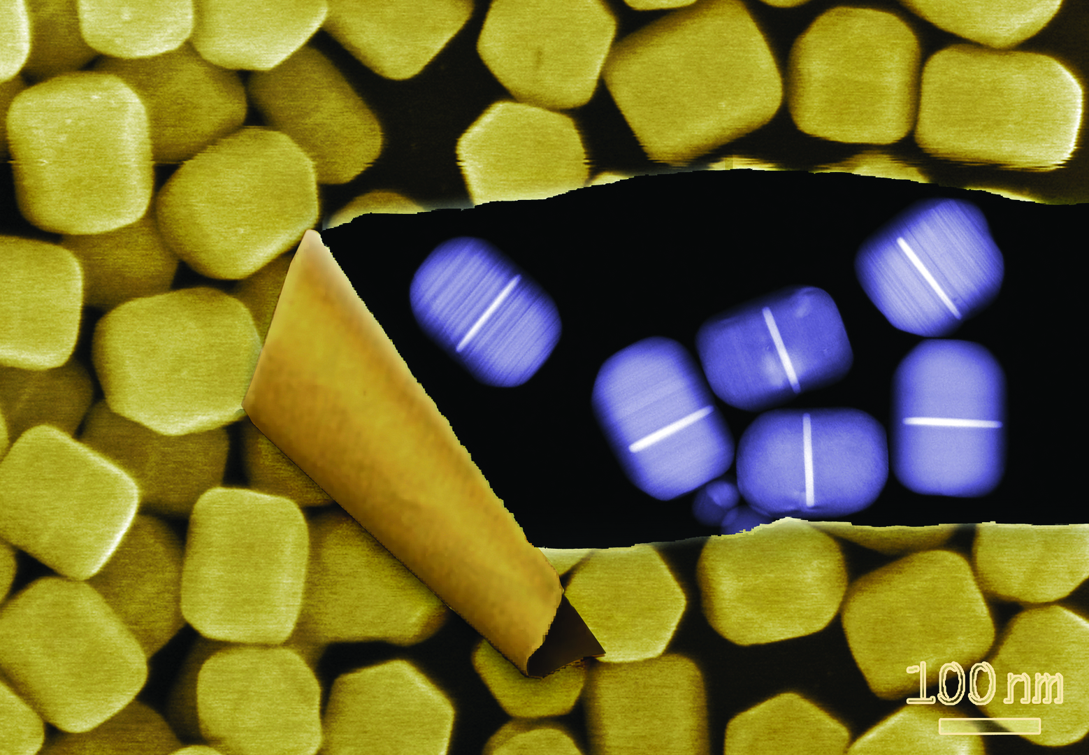 Hexagonal rods formed from DNA-directed colloidal reduction of silver on gold plates.