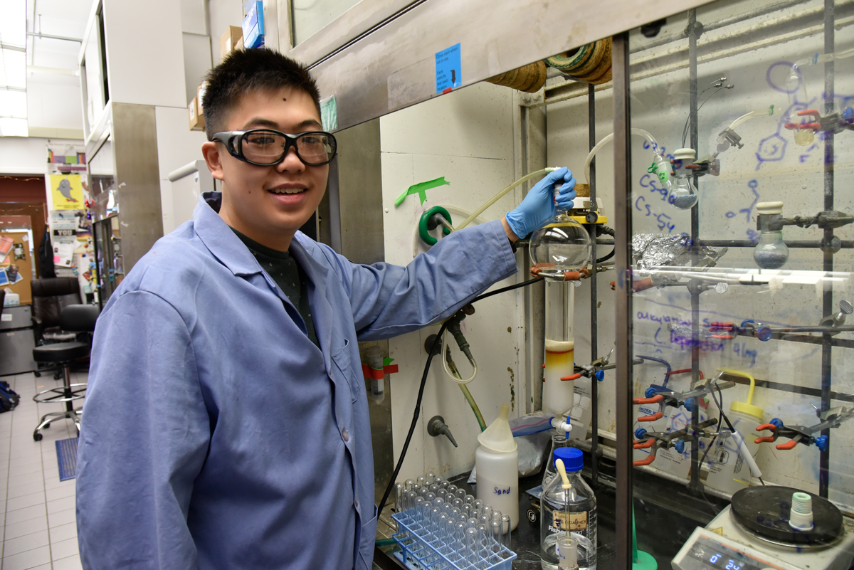 Student does collaborative research with the Beckman Institute.