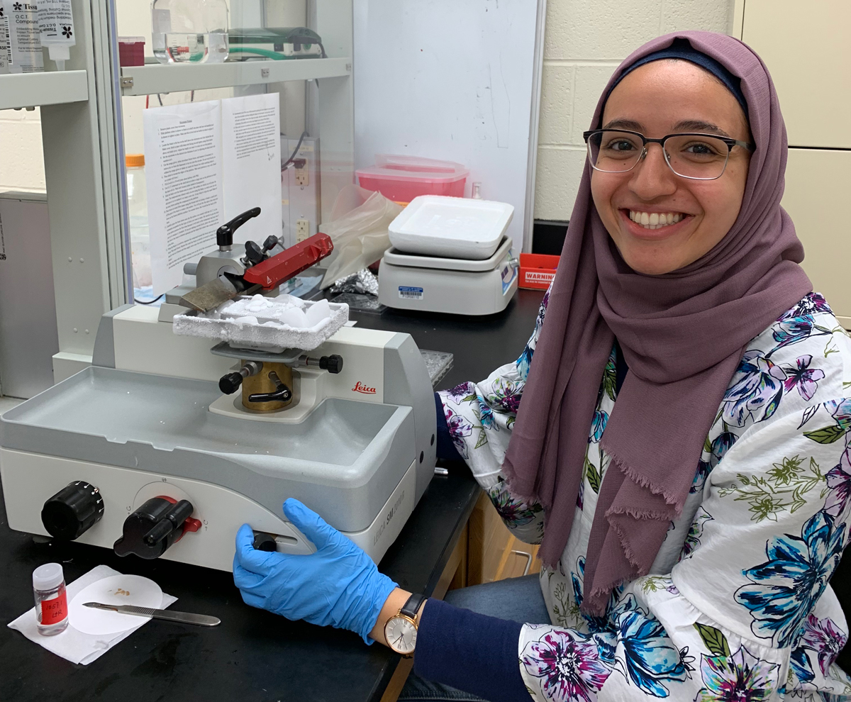 Student researcher works in a lab at the Beckman Institute.